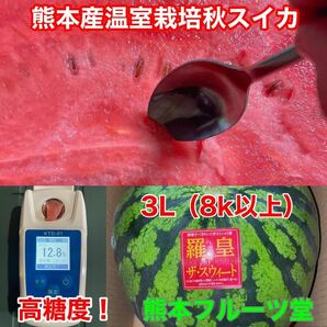 『今期初出品』熊本産【羅皇】秀品4Lサイズ（1玉9〜10kg）熊本フルーツ堂1の画像5