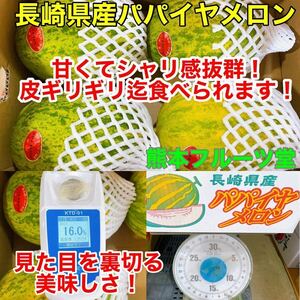 【熊本フルーツ堂の超お勧め】長崎産 パパイヤメロン【秀品4玉約4.8k箱込】4