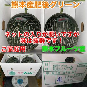 熊本産 高級メロン肥後グリーン【ご家庭用4L 2玉約4.5k箱込】熊本フルーツ堂3