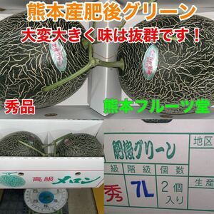 熊本産 高級メロン肥後グリーン【秀品7L 2玉約6.2k箱込】熊本フルーツ堂3