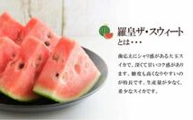 『甘くて食感がいい』熊本産【羅皇】優品Lサイズ（1玉6〜7kg）熊本フルーツ堂1_画像6