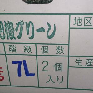 熊本産 高級メロン肥後グリーン【秀品7L 2玉約6.2k箱込】熊本フルーツ堂3の画像7