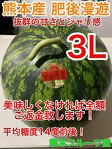 熊本産【肥後漫遊】優品3Lサイズ（1玉8〜9kg）熊本フルーツ堂34_画像1