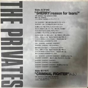 THE PRIVATES / Sherry - Criminal Fighter 邦楽 ROCK EP 7inch 見本盤 非売品 プロモ レコード プロモオンリーシングル BATMAN主題歌の画像2