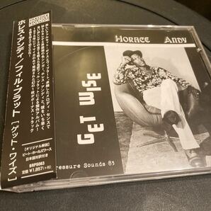 HORACE ANDY / Get Wise 国内盤 CD REGGAE PRESSURE SOUNDS 83 ルーツレゲエ 帯付き コンピレーションの画像2