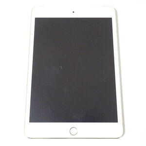 Apple iPad mini タブレット 動作未確認 ジャンク品 60サイズ発送 K-2609298-230-mrrz