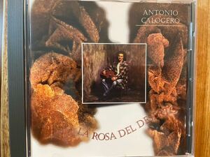 CD ANTONIO CALOGERO / LA ROSA DEL DESERTO