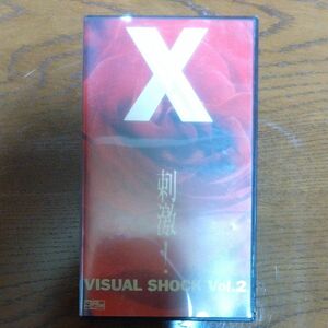 『 X VISUAL SHOCK Vol.2 刺激！』VHS ビデオテープ 