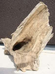  driftwood C96_39 centimeter 26 centimeter 21 centimeter 