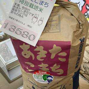 25kg令和5年秋田県大潟村産あきたこまち 検査米１等 精米（白米)２５キロ(10.05ｋｇ×２,5.05ｋｇ)送料無料(北海道沖縄除く)☆特別栽培米の画像1