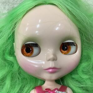 1円〜 箱無 Blythe ブライス プリマドーリー アマリリスの画像8