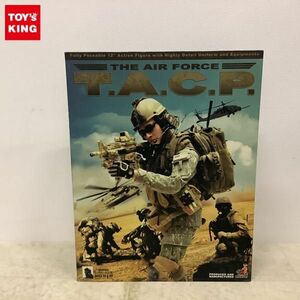 1円〜 ホットトイズ アメリカ軍 エアーフォース T.A.C.P.