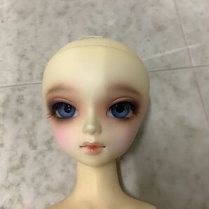 1円〜 箱無 ボークス スーパードルフィー MSD 女の子 F-22ヘッド ブルー系アイ、猫耳、ピンク系ワンピースの画像4