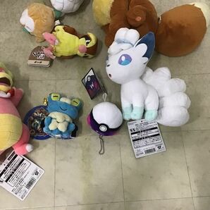 1円〜 訳あり ポケットモンスター マスコット マスターボール、ぬいぐるみ アローラロコン、MOFU-MOFU PARADISE チルタリス他の画像2