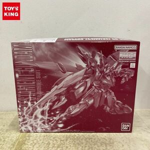 1円〜 MG 1/100 機動戦士ガンダムSEED DESTINY テスタメントガンダム