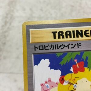 1円〜 ポケモンカード ポケカ チャレンジロード’99 トロピカルメガバトル 参加記念カード 旧裏面 トロピカルウインドの画像4