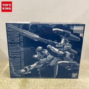 1円〜 MG 1/100 機動戦士ガンダムSEED MSV ライトニングストライクガンダム Ver.RM