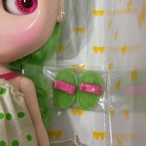 1円〜 タカラトミー Blythe ブライス プリマドールー アマリリス_画像6