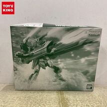 1円〜 MG 1/100 機動戦士ガンダムSEED DESTINY ブラストインパルスガンダム_画像1