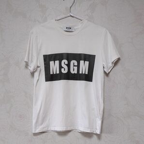 MSGM エムエスジーエム　Tシャツ ロゴ 白 半袖