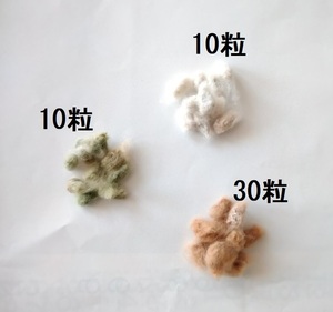 【種】綿　茶　30粒　・白　10粒　・緑　10粒　ワタ　品種不明　種子　タネ