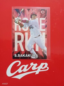  Calbee Professional Baseball chip s card 2024 year 1 limitation special box card / team book@. strike . card Hiroshima Toyo Carp slope ...31. hand 