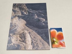 上白石萌歌 写真展「かぜとわたしはうつろう」 ZINE＋カード／八木莉可子 写真集