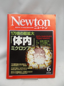 A2405　Newton (ニュートン) 2006年 06月号