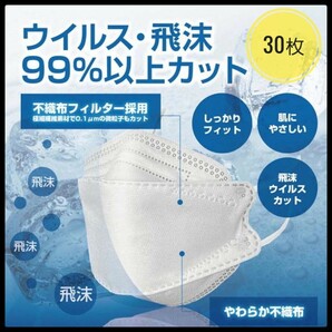 ■数量限定■白 30枚セット■不織布 柳葉型 4層構造 3D 立体マスク■新型コロナウイルス インフルエンザ 年末 大掃除 花粉症対策■多種多様