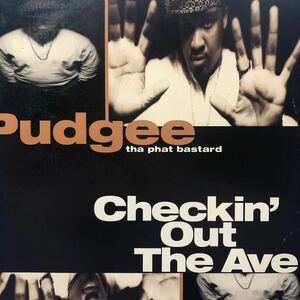 h 12インチ PUDGEE THA PHAT BASTARD CHECKIN' OUT THE AVE LP レコード 5点以上落札で送料無料