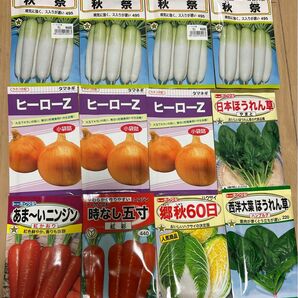 野菜の種　大根　玉ねぎ　にんじん　ほうれん草　白菜