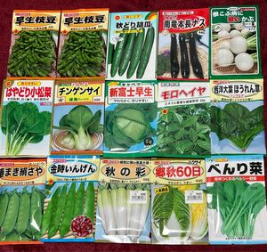 野菜の種　カブ入り