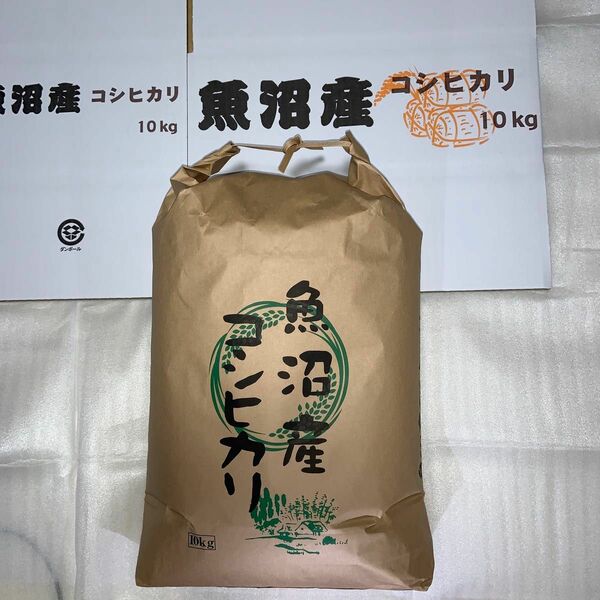 令和5年産　新潟県魚沼産コシヒカリ１０キロ 