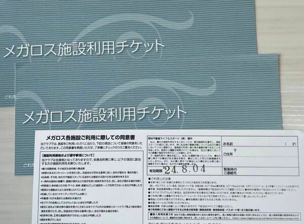 メガロス　施設利用券3枚　チケット 