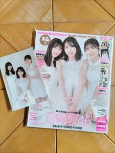 BOMB ボム 2022年2月号(セブンネット限定特典・ポストカード付)・日向坂46(金村美玖・河田陽菜・丹生明里) 超BIGポスター&メッセージカード