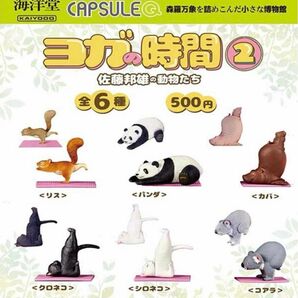 カプセルＱミュージアム　佐藤邦雄の動物たち「ヨガの時間２」全６種セット