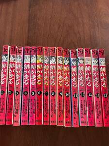 あおきてつお★緋が走る　送料無料