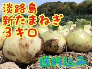 【３キロ】淡路島　新たまねぎ　早生タマネギ　玉ねぎ　玉葱