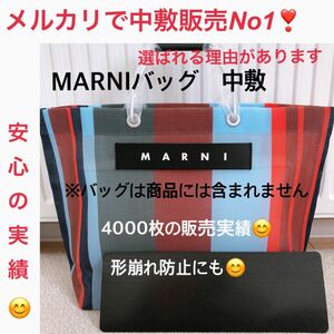 マルニ　MARNI ストライプバッグ　トートバッグ　中敷