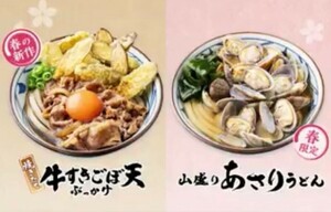 丸亀製麺 焼きたて牛すきごぼ天ぶっかけうどん 山盛りあさりうどんのみ利用可能 500 円引きクーポン アプリ限定