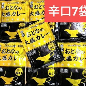 #46 最安値☆【辛口】レストラン仕様 おとなの大盛カレーおとなの大盛りカレー 250g×7袋 レトルトカレー 常備食 キャンプ飯