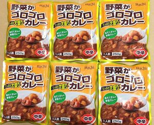 最安値☆ 野菜がゴロゴロカレー【中辛】250g×6袋 具だくさんレトルトカレー 常備食 キャンプ飯