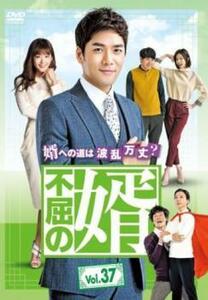 不屈の婿 37(第109話～第111話 最終)【字幕】 レンタル落ち 中古 DVD ケース無