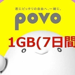 povo2.0 1GB コード入力期限6/5 プロモコード①の画像1