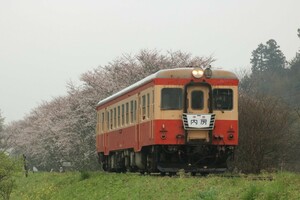 鉄道写真 いすみ鉄道 キハ52 内房