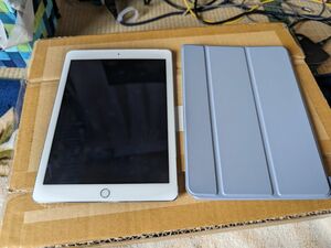 【防水発送】 iPad Air2 Apple 64G Cellular Wi-Fi simフリー　新品ケー・新品ガラスフィルム