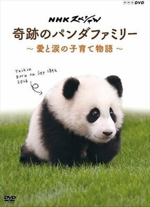 NHKスペシャル 奇跡のパンダファミリー ~愛と涙の子育て物語~ / (DVD) NSDS-22619-NHK