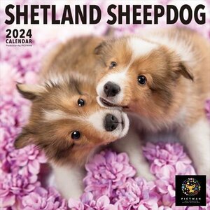 シェットランド・シープドッグ PICTWAN (ピクトワン) カレンダー DOG 【L版】 2024年カレンダー24CL-50023L
