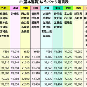 GS400 GT380 GSX400E ザリ ゴキ CB400Four ホーク バブ Z250FT 33Φ アルフィン ライトステー アップタイプ BEET キジマ 絶版旧車 カスタムの画像4