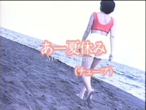 VCDカラオケ】チューブ 8曲*あー夏休み 含/16曲/BMB107/mdpkrvb